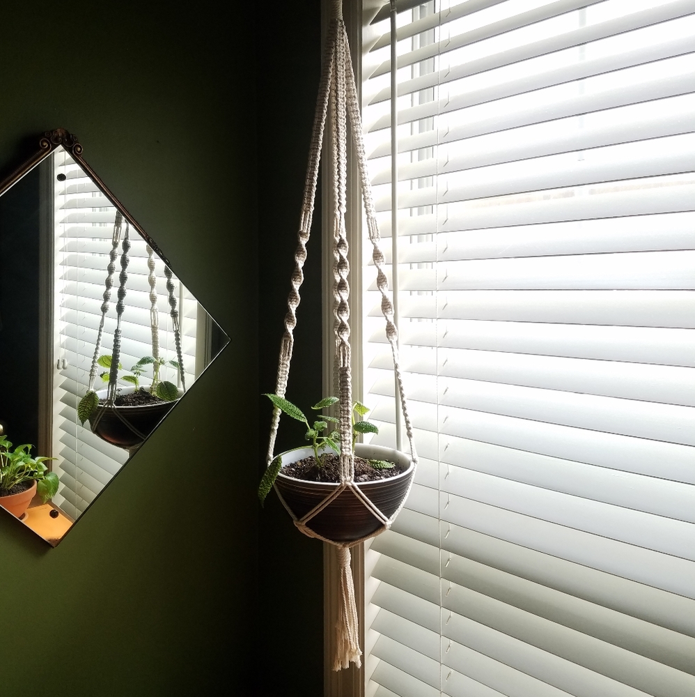 🌿NEW HANDMADE🌿 Macrame Plant Hanger!